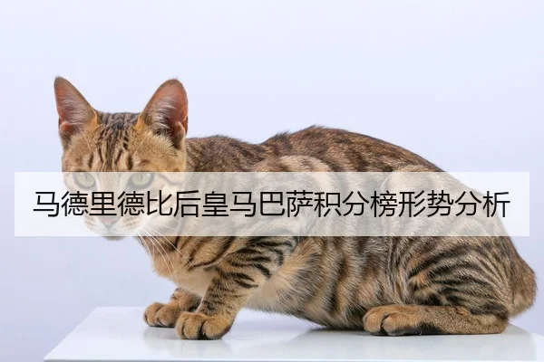 马德里德比后皇马巴萨积分榜形势分析