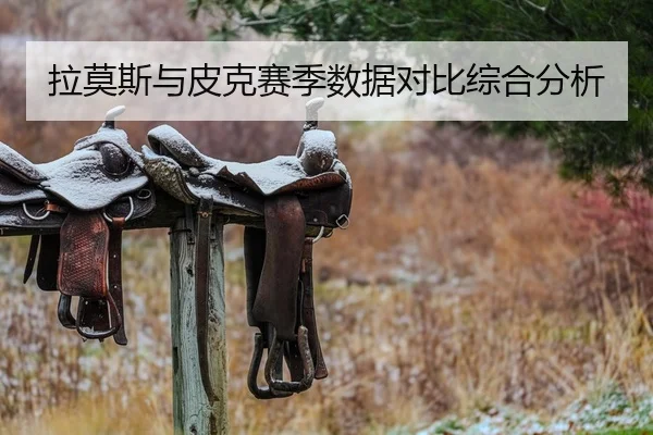 拉莫斯与皮克赛季数据对比综合分析